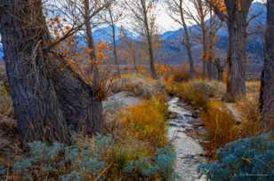 Pinyon Creek-0119 Pinyon Creek-0119